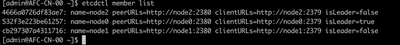 Node Leader Status