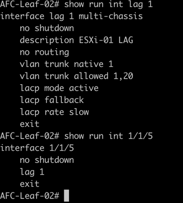 LAG Interface
