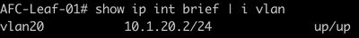SVI Config
