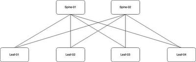 Lab Topology
