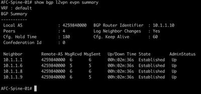 BGP Adjacencies