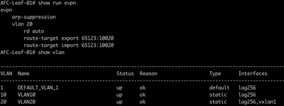 CLI Verification