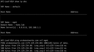 DNS Ping Test
